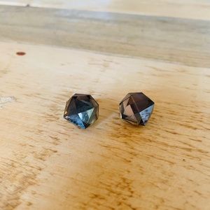 Transparent Black Earrings